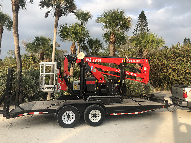 Sarasota Arborist dangerous tree removal services - Florida