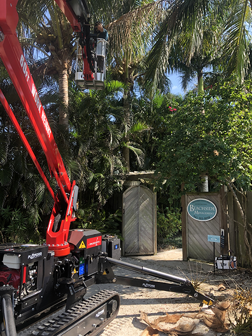 Sarasota Arborist hard to reach tree trimming and removal - Florida