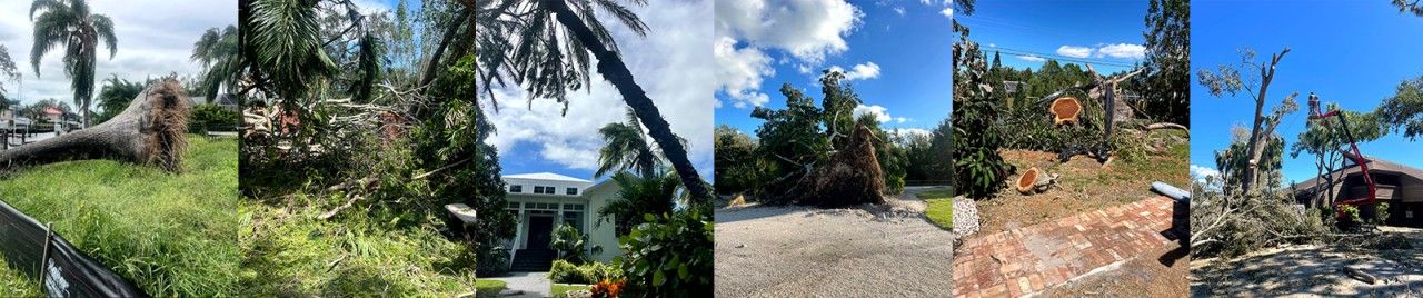 Surveying the Aftermath of Hurricane Ian